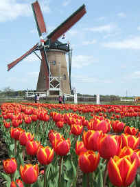 File:De Liefde Windmill, Sakura, Chiba, Japan - 20060417.jpg